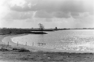 842673 Gezicht over de rivier de Lek ter hoogte van het stuw- en sluizencomplex Hagestein.